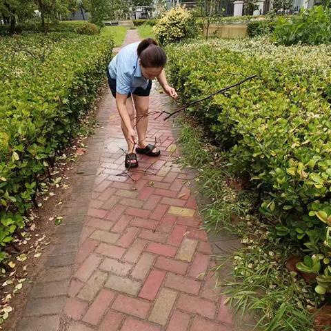 爆雨后隐患排查    网格员在行动