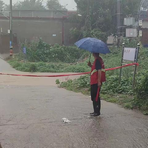 闻汛而动向雨而行，伦掌镇机关干部坚守防汛一线