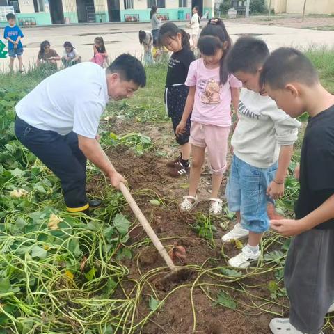 坞墙镇谢庄小学——校园里的劳动课
