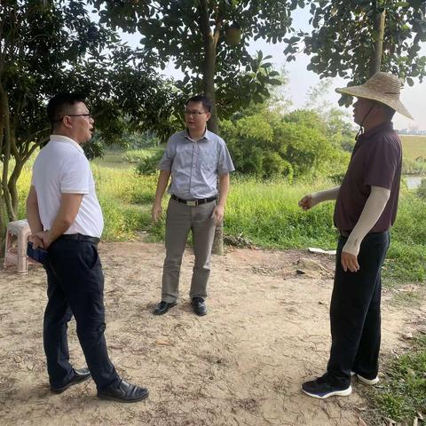区委常委、组织部部长顾兴伟到林头调研指导工作