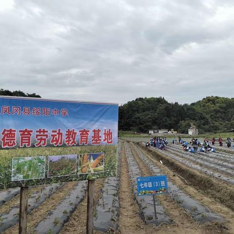 躬耕实践，以劳育德——凤冈县绥阳中学劳动实践活动