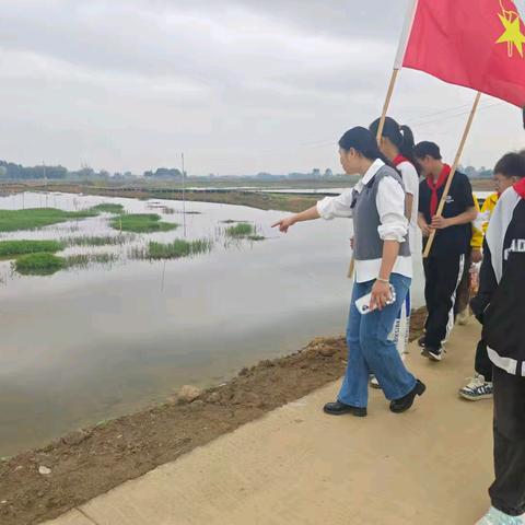 科技与生态的奇妙融合——南木镇古楞村稻虾基地参观之旅