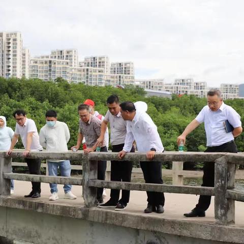 吉阳区人大常委会组织市人大代表开展防溺水工作专题调研