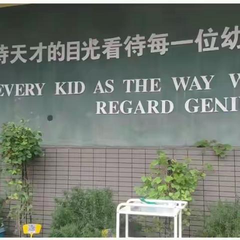 寻访花开的地方--走近徐州市雍景新城幼儿园