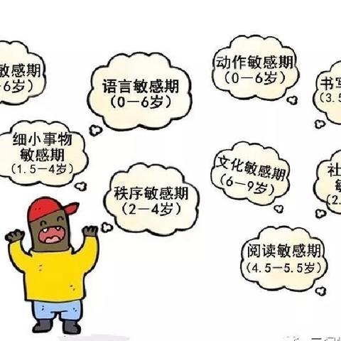 探索儿童敏感期：孩子的表现与应对策略