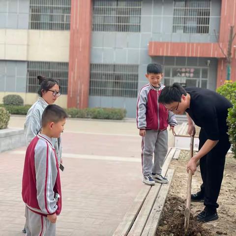 拥抱春天，播种希望—聊城第九中学小学部二年级组种太阳花活动纪实