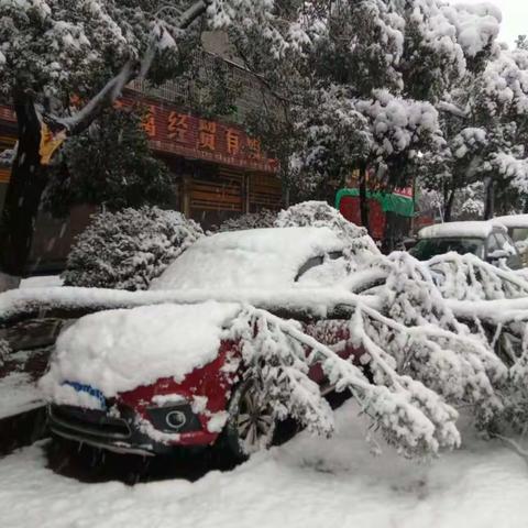 冷水江市第二中学党委校园铲雪护树活动