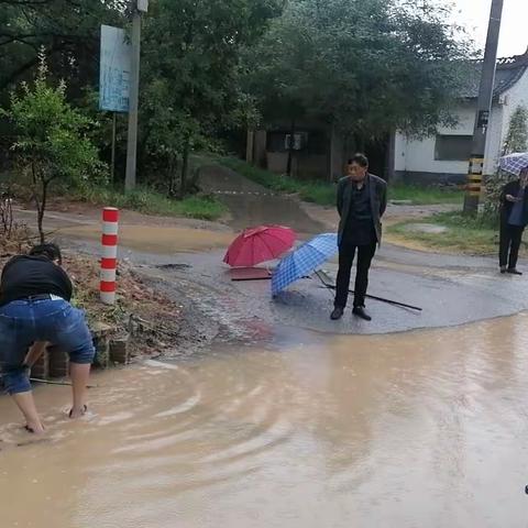 【盘点】西阳镇市级乡村振兴示范镇建设周工作动态