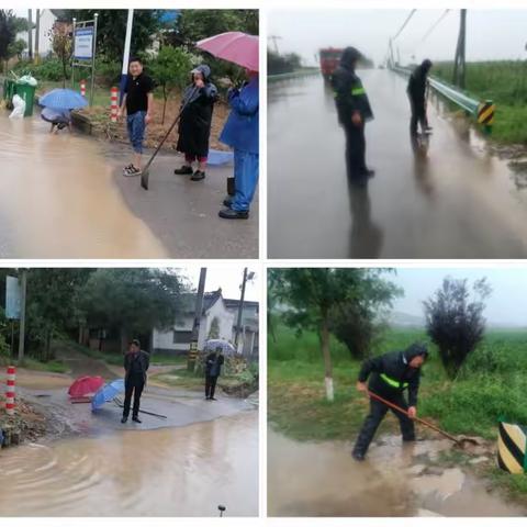 【盘点】西阳镇市级乡村振兴示范镇建设周工作动态