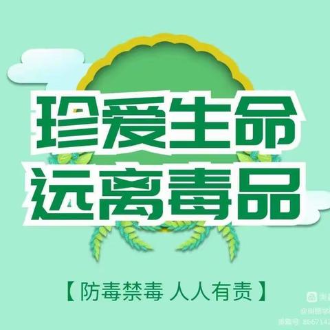 ＂禁毒知识进校园，争做禁毒小少年＂ ——陈贠湾小学禁毒专题教育