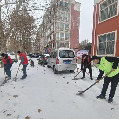 大庆办都市花园社区开展清雪除冰志愿服务活动