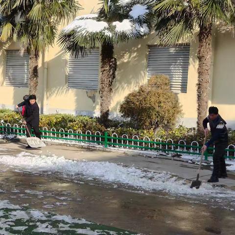风雪中的守护者：﻿大庙中心学校教师扫雪除冰为学子铺就平安路