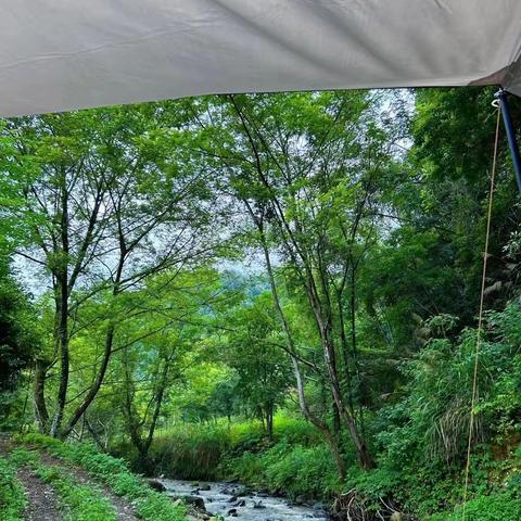 🍃追风拾野  夏之向往