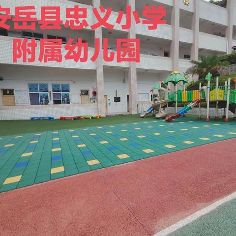 安岳县忠义小学附属幼儿园招生啦……