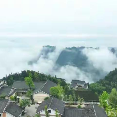 【山林美景 自然风光】龙卦山三天两晚快乐养生之旅