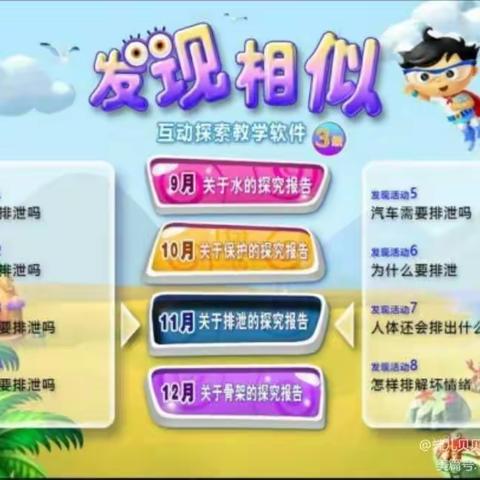《发现相似》关于排泄的探究报告——冠博幼儿园朵朵班延伸活动