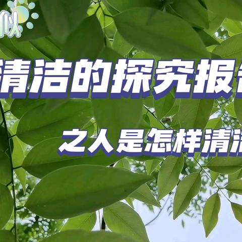 冠博幼儿园朵朵班关于清洁的探究报告