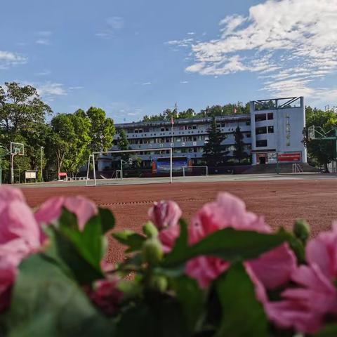 播州区乌江镇中心学校（乌江中学）七年级预报名通知