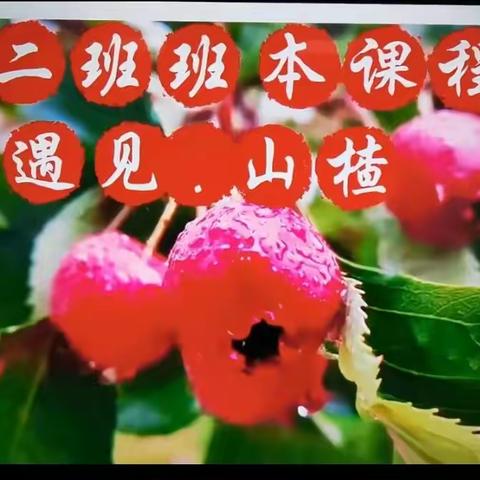 🍒遇见·山楂🍒