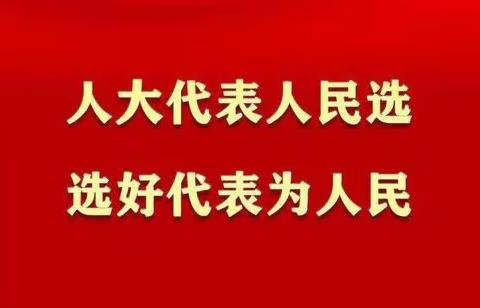 人大代表办实事  担当作为解民忧