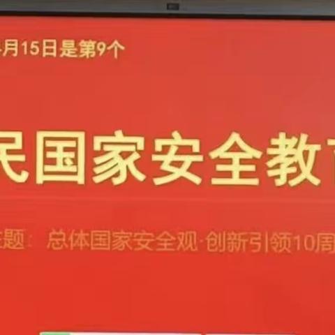 天口小学国家安全教育日活动总结