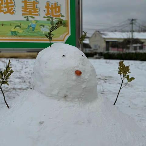 童趣“冰”纷  欢乐校园——夏庄小学冰雪活动