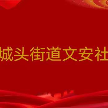 罗城头街道文安社区开展“惠民实践团”为学习贯彻习近平总书记视察河北系列重要讲话精神“惠民实践团”主题宣讲活动