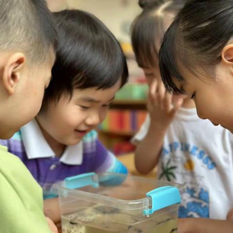 谷雨时节知多少 ——第八周云上家园栏