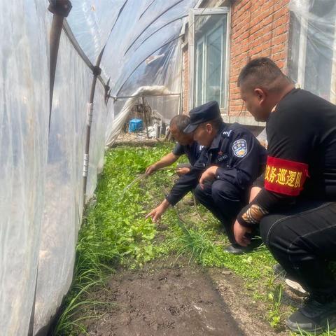 【禁种铲毒 社警共治】大兴社区兴安居民委“禁种铲毒”不止步 宣传踏查守净土