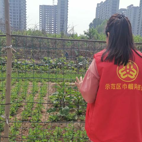 【横堤铺社区妇联】禁种铲毒 坚决铲除毒品原植物种植