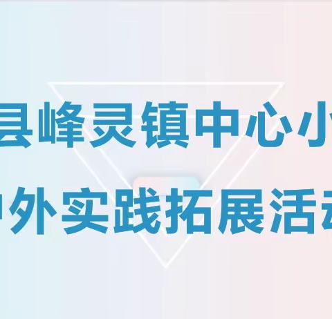 巫溪县峰灵镇中心小学校户外实践活动