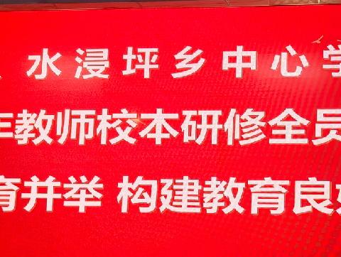 强化五育并举，构建教育良好生态——武冈市水浸坪乡2024年教师全员校本研修集中培训