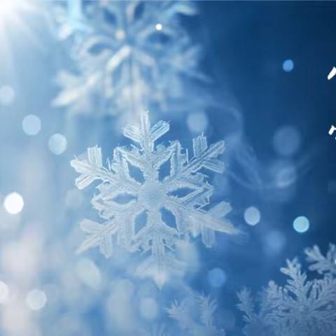 洮南市第二幼儿园“轻盈小雪至·童心暖寒冬”小雪节气活动