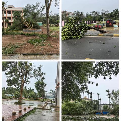 风雨同舟，全力以“复”