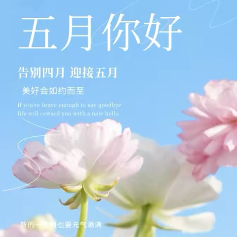 🌻元气满满  向阳而行☀️——乌林镇第一幼儿园大二班五月活动踪影