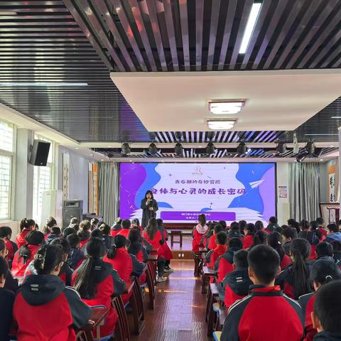 青春期的奇妙冒险，身体与心灵的成长密码——2025年荆门市东宝区大桥小学“青春期心理健康”教育主题队会