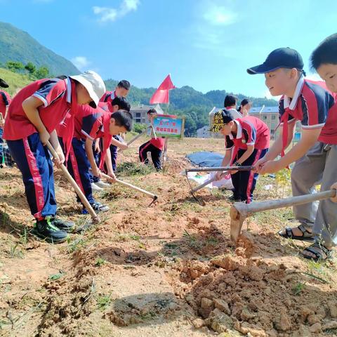 "劳动砺心志，实践促成长——大甲中心小学五2劳动实践活动