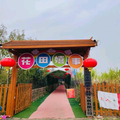 寻农耕美，享劳动乐——宇浩幼儿园研学旅行