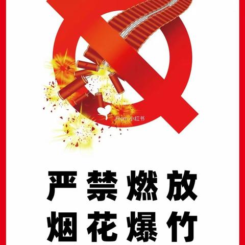 平阴县人民政府   关于禁止燃放烟花爆竹的通知