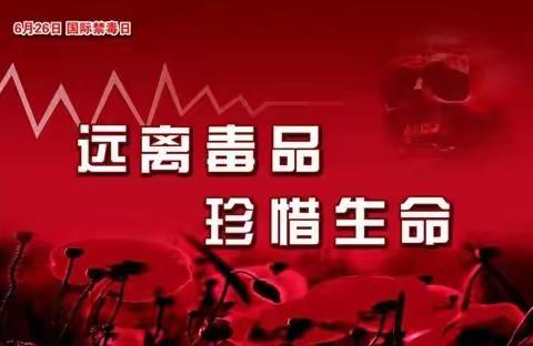 红桥蓝座社区“6.26国际禁毒日”宣传活动