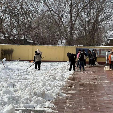 以雪为令，家校齐心，暖心开学季——大官厅乡白方礼小学春季开学前清雪大行动