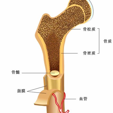 七年级张胜源生物实践作业