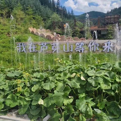 【附中学子这样过暑假】 全景芦芽 山高水美贯中华——忻州师范学院附属外国语中学初372班李芸萱2024年暑假实践活动小记