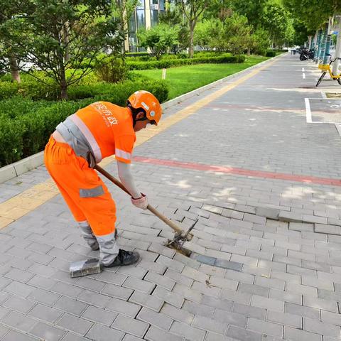 【旗小帮】“随手拍”出基层治理  “加速度”