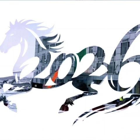 威海收费站 雪韵护通途