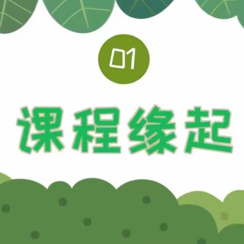 大二班种植记——《种子的秘密》