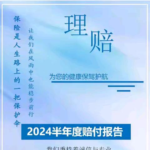 2024理赔半年度报告