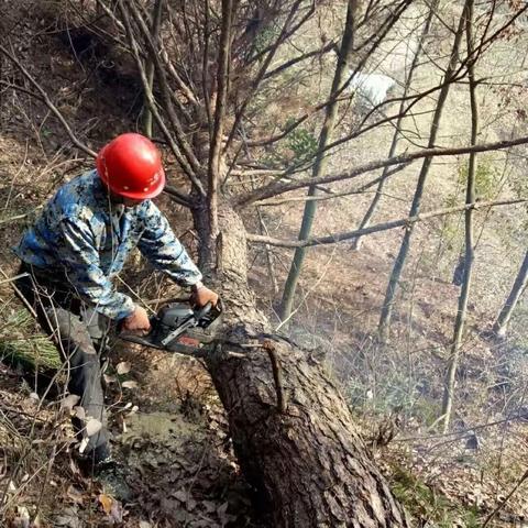 以同绘为抓手，赋能松材线虫病疫情防控管理