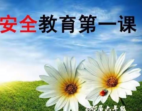 双起中心幼儿园2024年上学期安全第一课