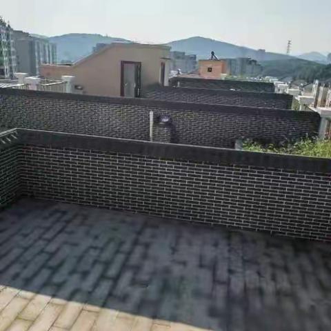 八月工作掠影